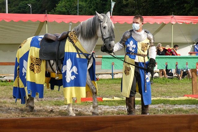 他们拥有一 他们拥有一