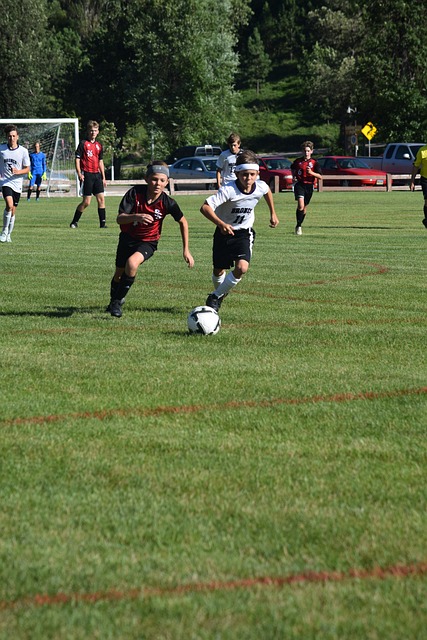 浙江队主教 浙江队主教