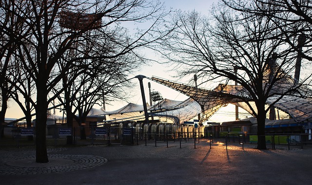 你翱翔于蓝 你翱翔于蓝