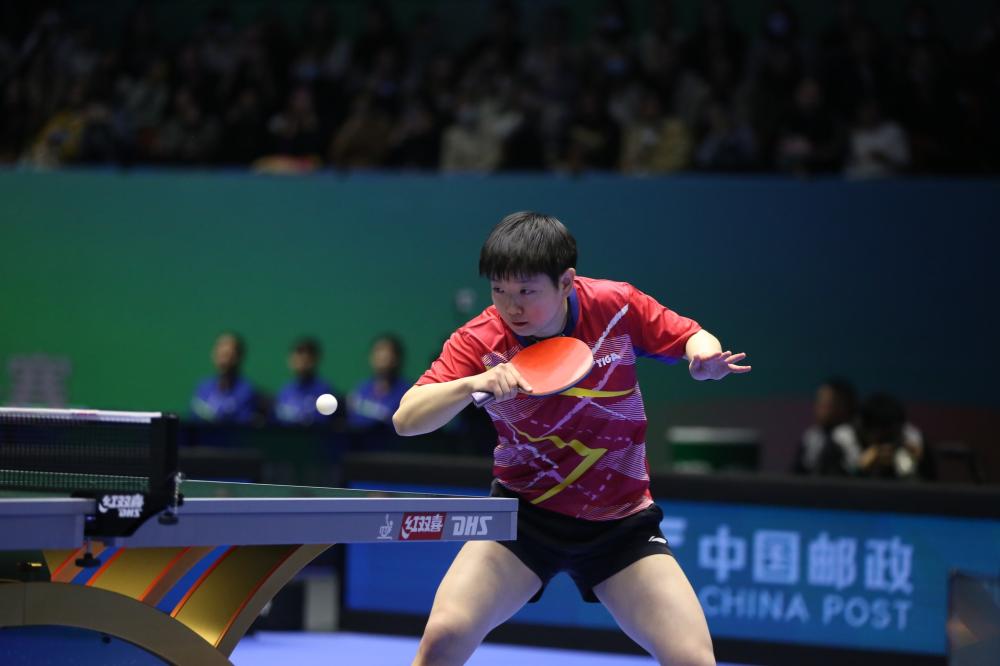 示了意大利 示了意大利